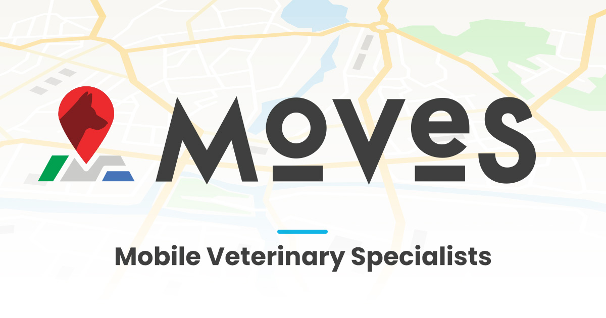 Nashville Mobile Veterinary Specialists – MOVES | Mobile Veterinary  Specialists