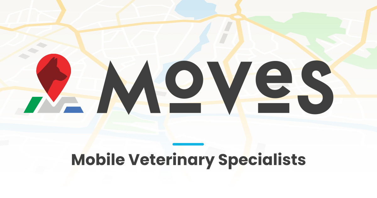 Nashville Mobile Veterinary Specialists – MOVES | Mobile Veterinary Specialists Nashville Mobile Veterinary Specialists – MOVES | Mobile Veterinary Specialists