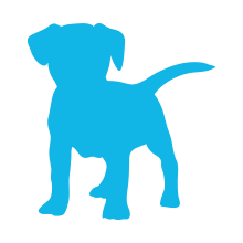 Silhouette of a dog puppy