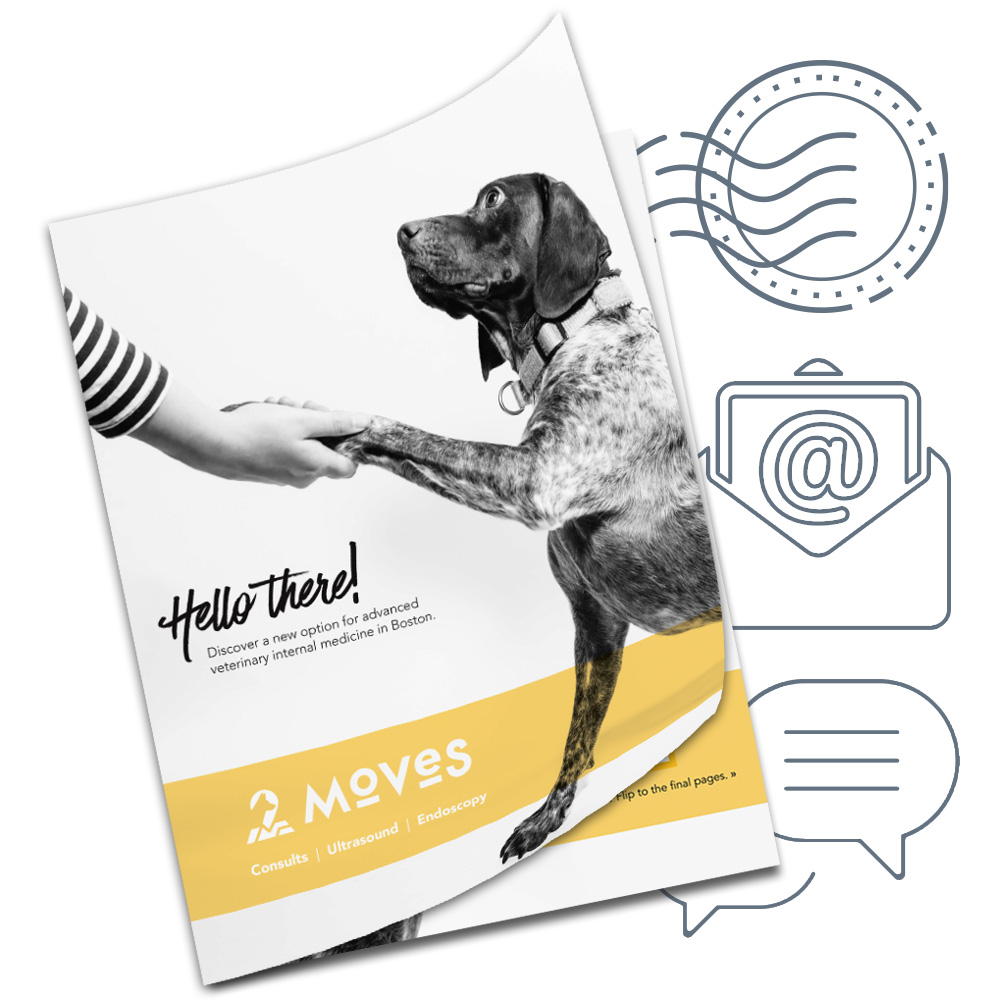 MOVES marketing department is amazing. MOVES Marketing Materials
