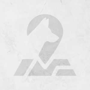 Portrait Photo Coming Soon MOVES Logo
