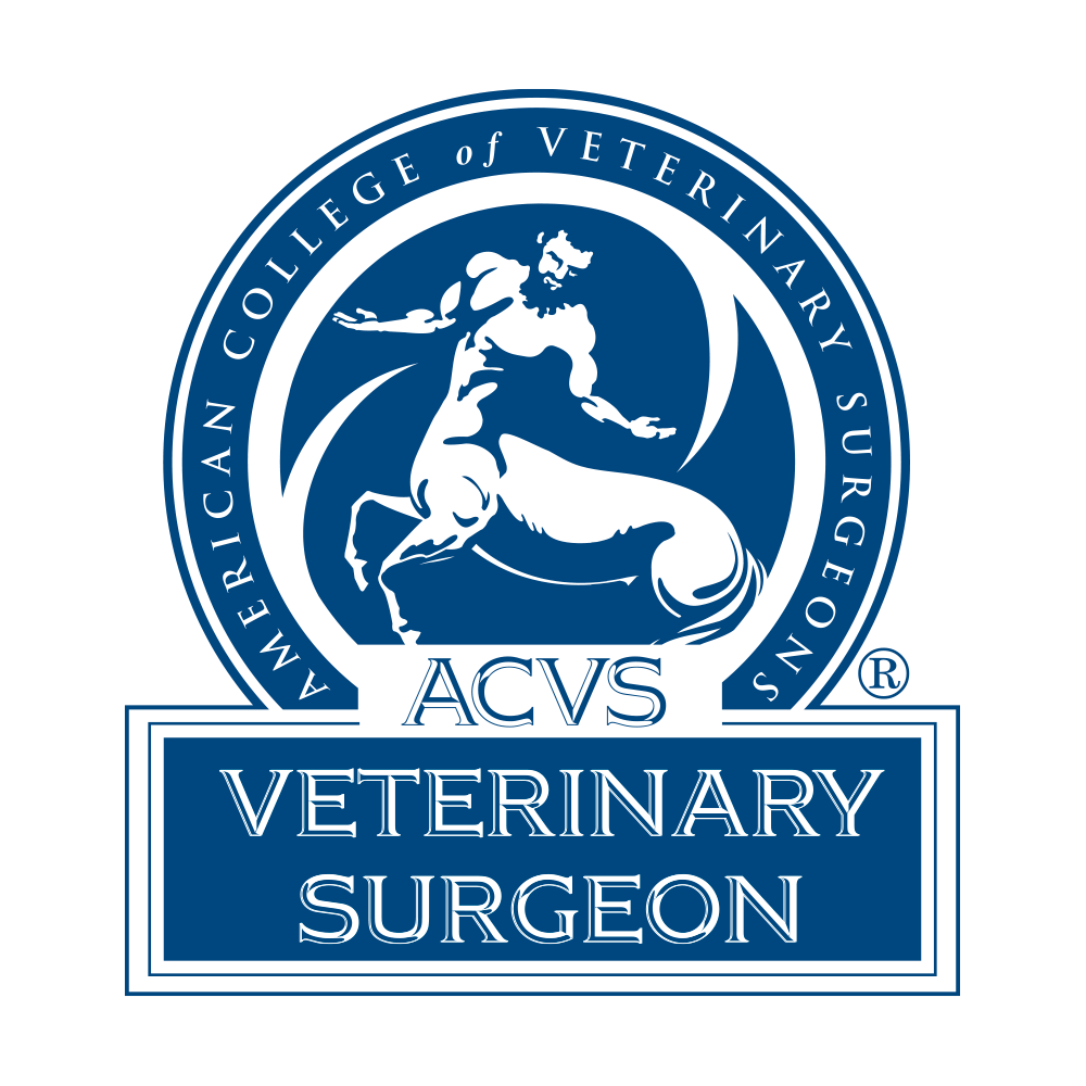 ACVS Veterinary Surgeon Badge
