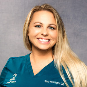 giana-veterinary-internal-medicine-technician-tampa-st-pete-moves Portrait of Giana Annichiarico, veterinary technician to Dr. Courtney North