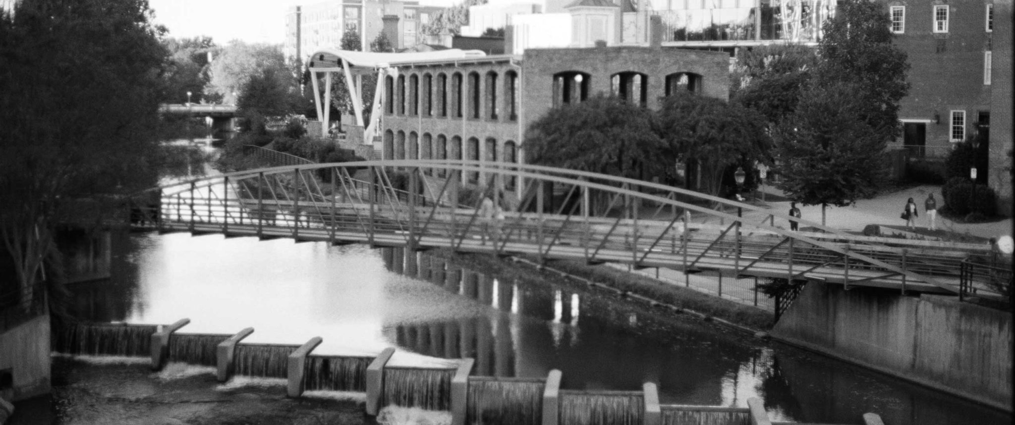 Greenville Mobile Veterinary Specialists MOVES Mobile Veterinary