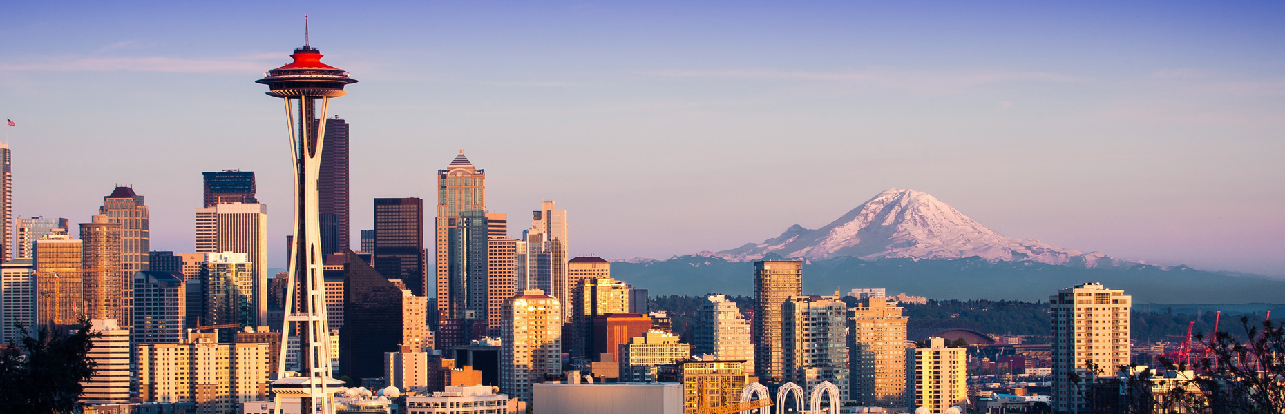 Seattle Skyline Seattle Mobile Veterinary Specialists
