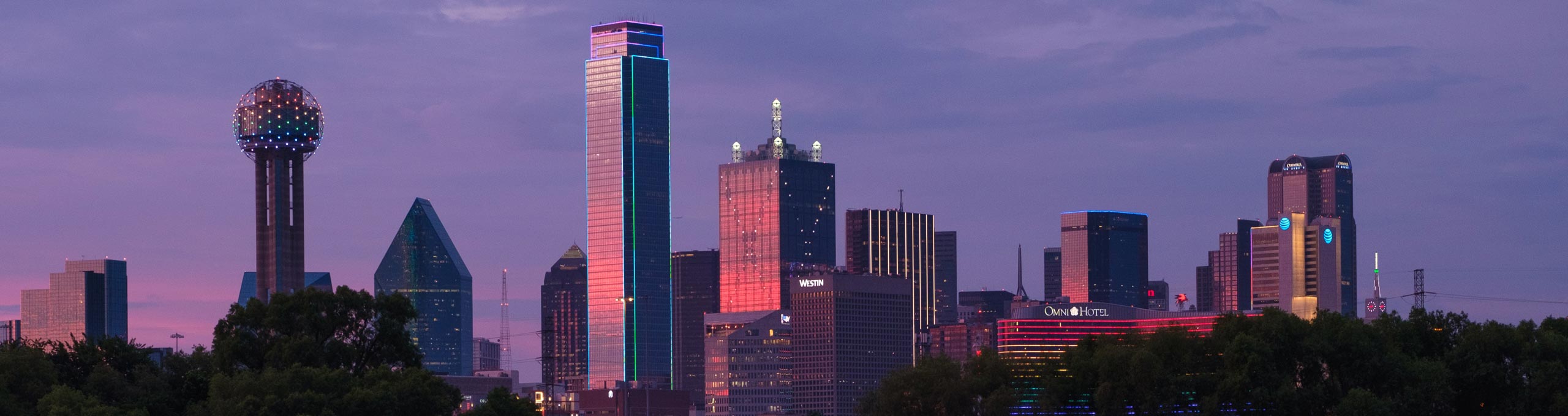 Panoramic image of the skyline in Dallas, which is home to Dr. Amber Stiller of MOVES mobile veterinary specialists.