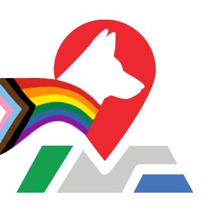 MOVES Logo with Progress Pride flag banner