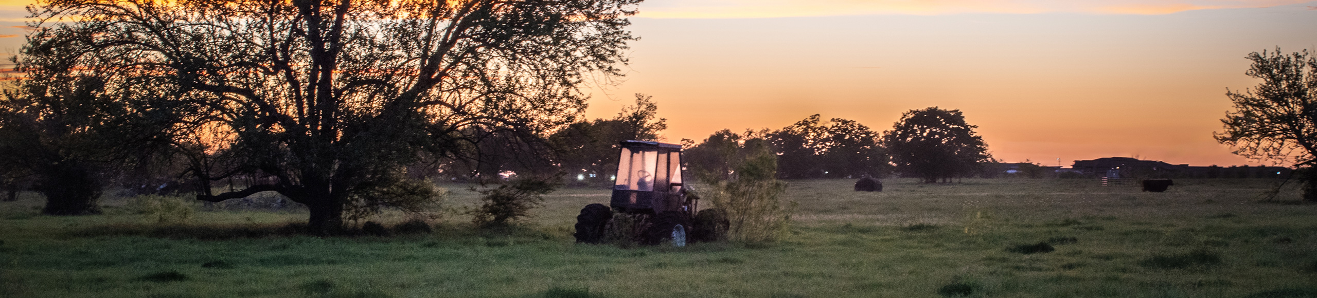 Pastoral scene around College Station, TX, a service area of MOVES Mobile Veterinary Specialists