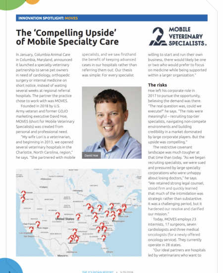 MOVES The Fountain Report